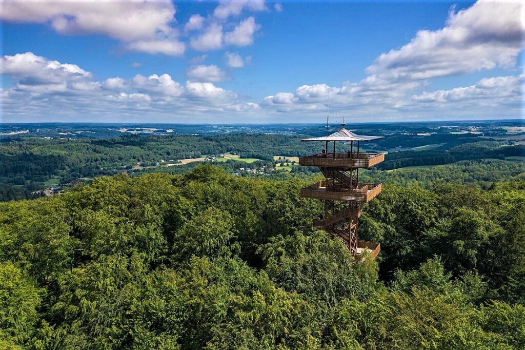 296108647 7823118914396594 2376359455165674159 n